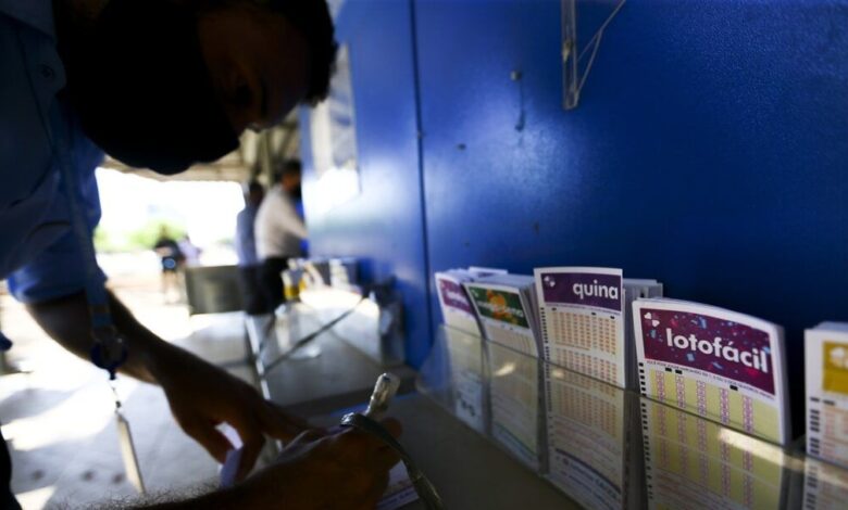 Lotomania 2879: confira os números sorteados e o prêmio milionário