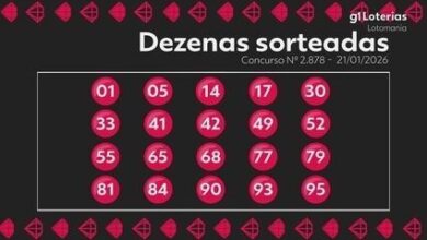 Lotomania 2878: prêmio acumula em R$ 5,3 milhões; veja números