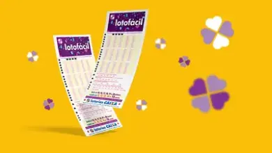 Lotofácil 3596: confira os números sorteados no sábado