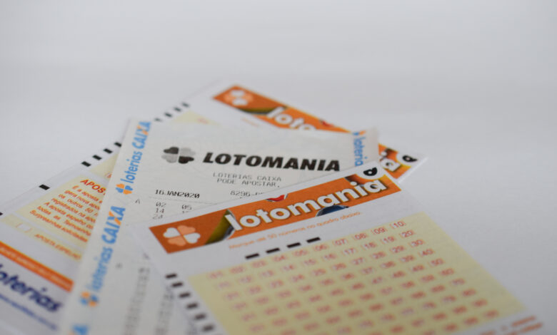 Lotomania 2877: confira os números sorteados e o prêmio de R$ 3,6 milhões