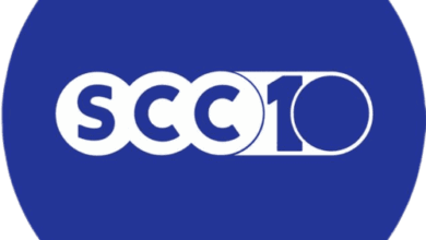 Lotofácil 3593: Confira os Números Sorteados e os Novos Milionários