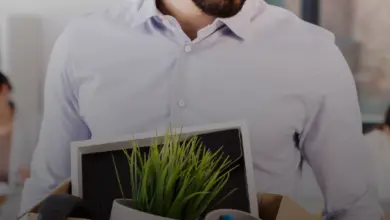 Bolsa Família: saques para NIS final 3 começam nesta quarta (21)